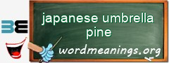 WordMeaning blackboard for japanese umbrella pine